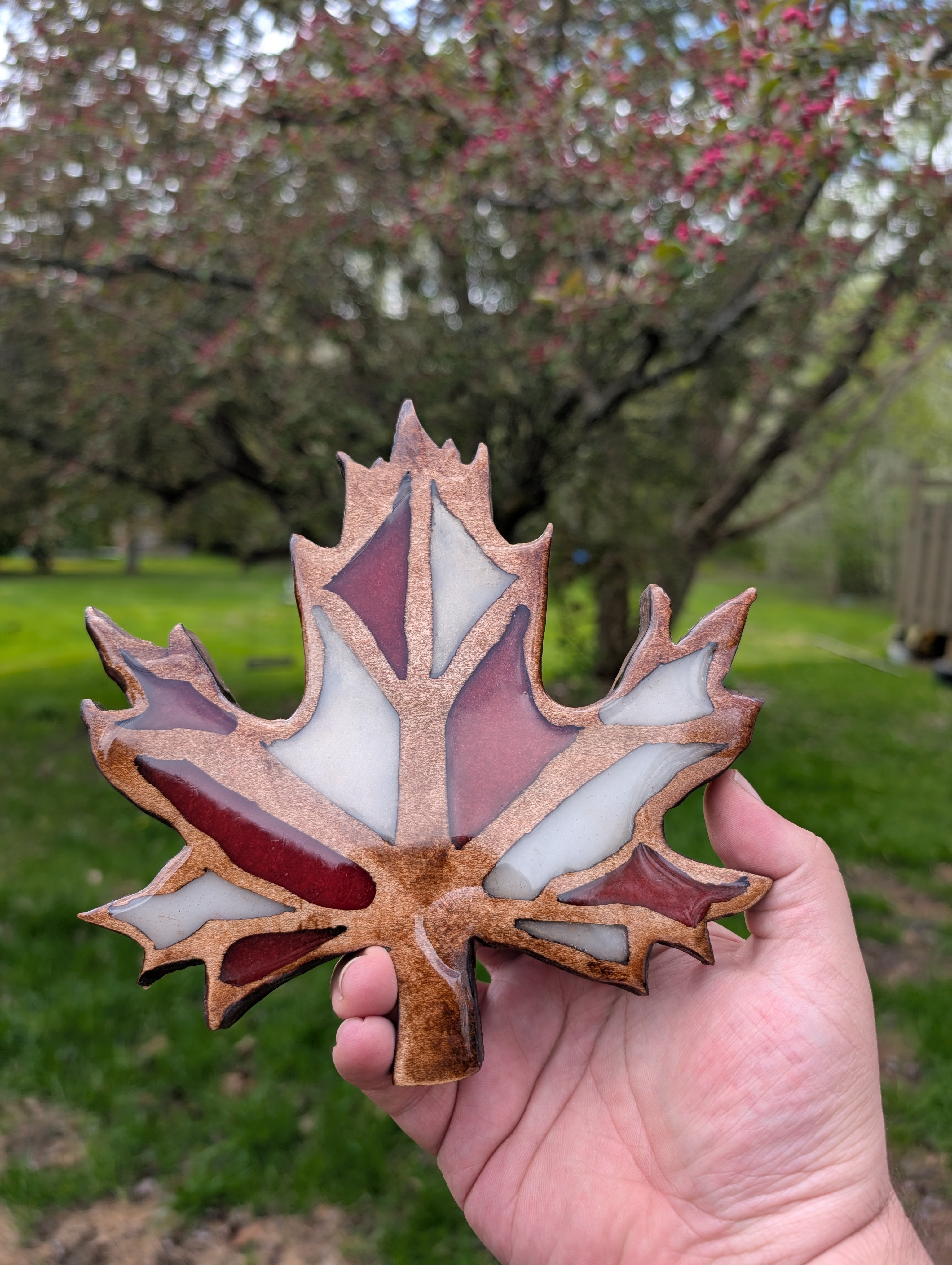 Canadian Red and White Maple Leaf